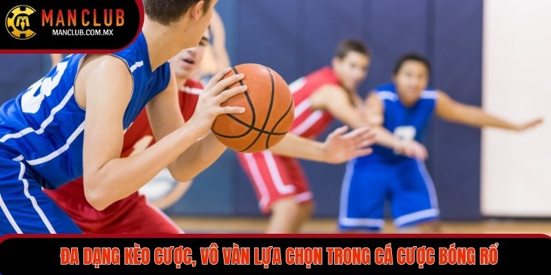 Đa dạng kèo cược, vô vàn lựa chọn trong cá cược bóng rổ